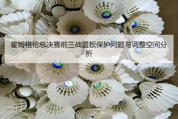 huo-mu-ge-lun-zong-jue-sai-qian-san-zhan-lan-ban-bao-hu-wen-ti-yu-tiao-zheng-kong-jian-fen-xi-2-986.jpg
